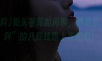 街头巷尾的闲聊，都是从“黑网料”的八卦线路上来的吧！