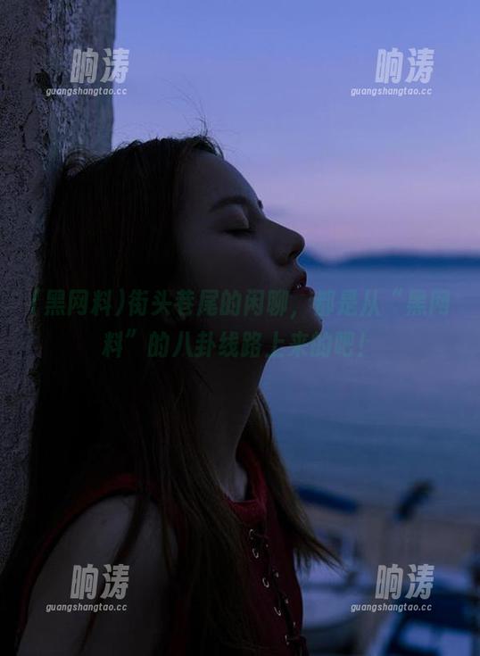 街头巷尾的闲聊，都是从“黑网料”的八卦线路上来的吧！